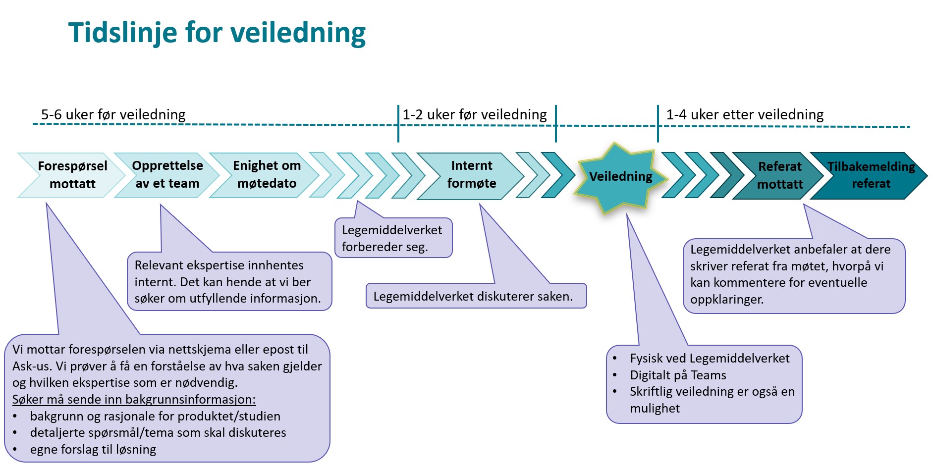 Skjematisk fremstilling av rutine og tidslinje for veiledning