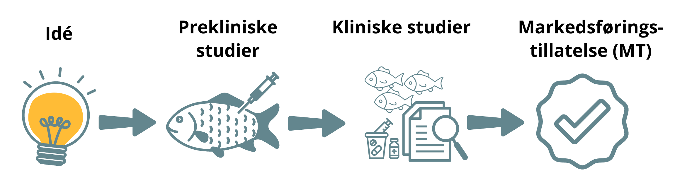 Skjematisk fremstilling av utvikling av legemidler til dyr: ide, prekliniske studier, kliniske studier og markedsføringstillatelse