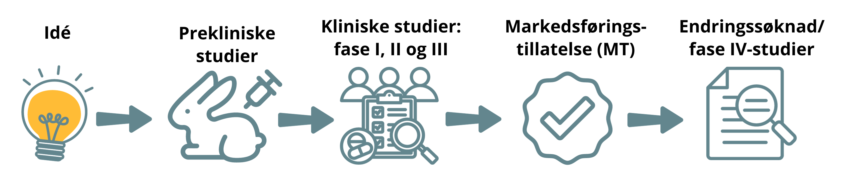 Skjematisk fremstilling av utvikling av legemidler til mennesker: ide, prekliniske studier, kliniske studier, markedsføringstillatelse og endringssøknader/fase 4-studier